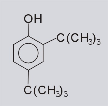 2,4-二叔丁基苯酚